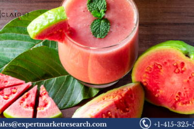 Guava Puree Market: Growth, Trends, and Insights for 2025-2034