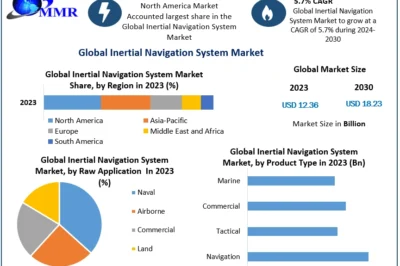 Inertial Navigation System Market Share Analysis and Competitive Landscape (2024-2030)