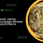 Joker OG Exotic Hemp Flower: A Complete Review of Benefits and Effects