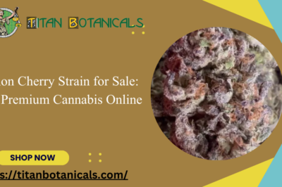 Lemon Cherry Strain for Sale: Find Premium Cannabis Online
