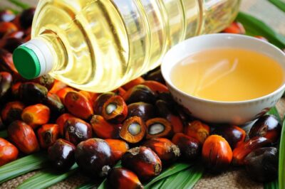 El Mercado de Aceite de Palma de Brasil: Perspectivas y Oportunidades en un Sector en Crecimiento