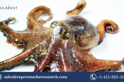 Octopus Market: Trends, Growth, and Future Outlook (2025-2034)