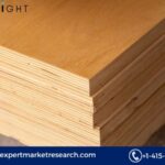 Phenolic Boards Market Share, Growth & Trends | 2025-2034