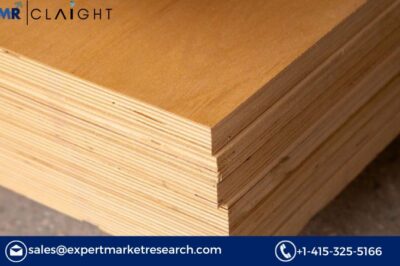 Phenolic Boards Market Share, Growth & Trends | 2025-2034