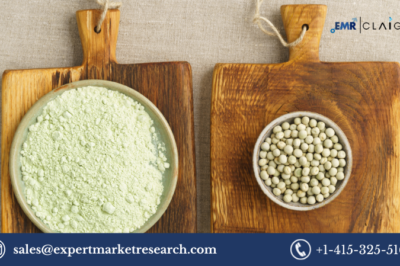 Pulse Flour Market: Growth, Trends, and Analysis (2025-2034)