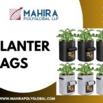 Planter Bags vs Traditional Pots: Which is Right for You?