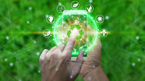 How Data Analytics in Sustainability Software Enhances Decision-Making