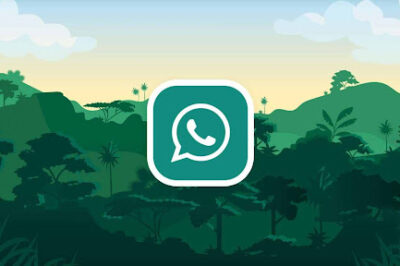 GB WhatsApp, CapCut Pro, Insta Pro, PikaShow, VidMate For Android