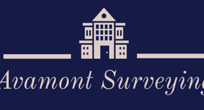 Everything You Need to Know About Home Surveys Everything You Need to Know About Home Surveys