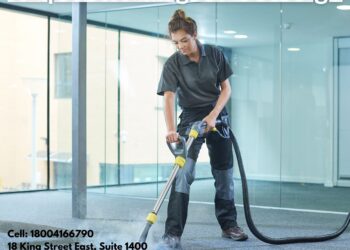 ﻿How Professional Carpet Cleaning Maximizes Your Home’s Aesthetic Potential