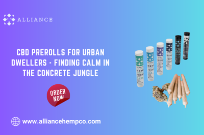 CBD Prerolls for Urban Dwellers – Finding Calm in the Concrete Jungle