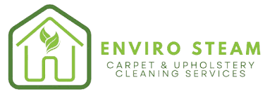 Carpet Cleaning Services: Revitalize Your Home with Professional Care