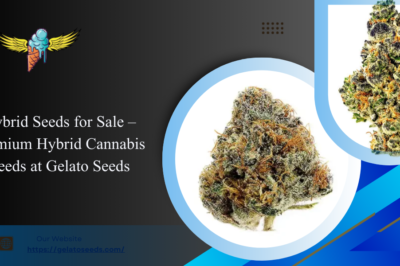 Hybrid Seeds for Sale – Premium Hybrid Cannabis Seeds at Gelato Seeds