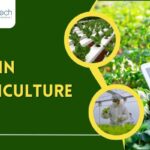 IoT in Agriculture