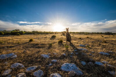 Top 10 sights to take in on a trip to Australia Top 10 sights to take in on a trip to Australia