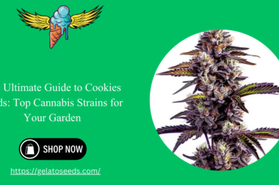 The Ultimate Guide to Cookies Seeds: Top Cannabis Strains for Your Garden