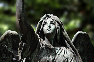 Understanding Angel Number and Their Connection to Your Life Path Understanding Angel Number and Their Connection to Your Life Path