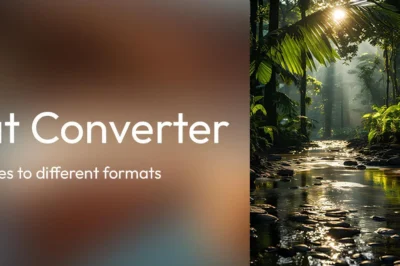 What Are the Most Popular Image Format Converters?