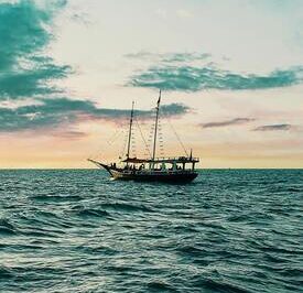 Buy Sails Online – The Ultimate Guide to Finding the Perfect Sail