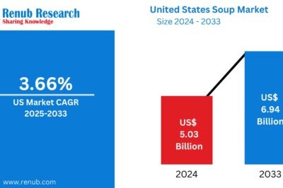United States Soup Market Trends Forecast 2025-2033
