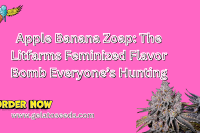 Apple Banana Zoap: The Litfarms Feminized Flavor Bomb Everyone’s Hunting
