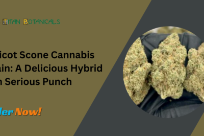 Apricot Scone Cannabis Strain: A Delicious Hybrid with Serious Punch