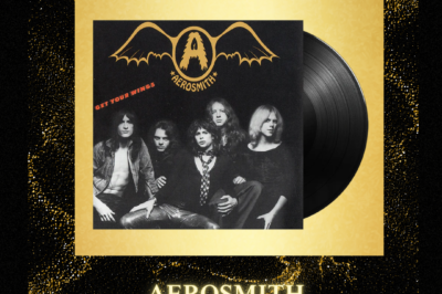 Vinyl Records Vault: The Future of Collecting and Shopping for vinyl records online India