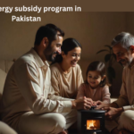 What Is the Dual Energy Subsidy Program in Pakistan?