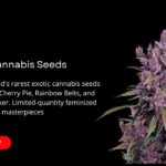Ultra-Premium Exotic Cannabis Seeds: The Grower’s Holy Grail