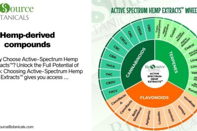 Experience the Entourage Effect: How Active Spectrum™ Hemp Extracts Elevate Natural Wellness