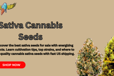 Premium Sativa Seeds: The Grower’s Guide to High-Yielding, Energizing Strains