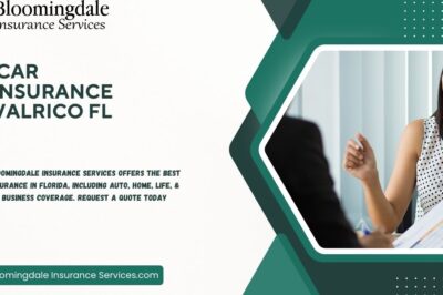 Reliable Car Insurance Valrico FL – Bloomingdale Insurance Services