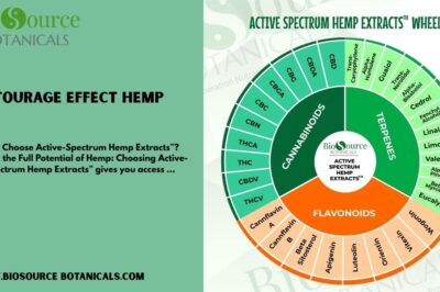 The Power of the Entourage Effect: Hemp with Active Spectrum