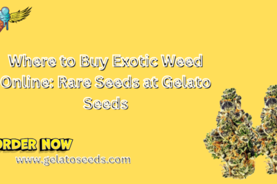 Where to Buy Exotic Weed Online: Rare Seeds at Gelato Seeds