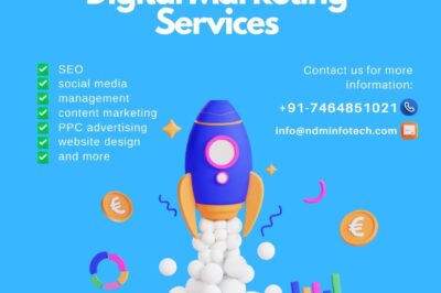 Ndm Infotech – The Best Digital Marketing Agency & SMO Company in India