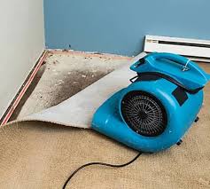 How Does Flood Damage Impact Homes and Infrastructure?