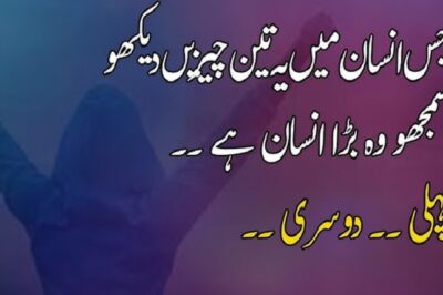 Exploring the Profound Wisdom of Life Deep Urdu Quotes Exploring the Profound Wisdom of Life Deep Urdu Quotes