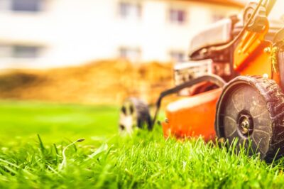 Lawn Care Forest Park GA Keep Your Yard Lush & Healthy Year-Round