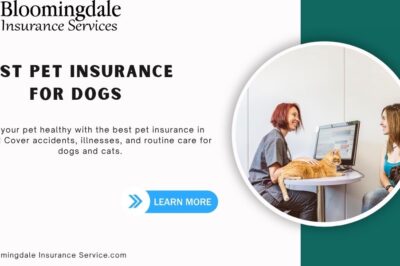 Best Pet Insurance for Dogs – Bloomingdale Insurance Services