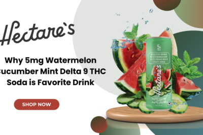 Why 5mg Watermelon Cucumber Mint Delta 9 THC Soda is Favorite Drink