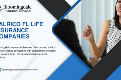 Why Bloomingdale Insurance Services Is Your Top Choice Among Valrico FL Life Insurance Companies