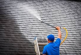 Soft Wash Roof Cleaning: Safe Mold & Algae Removal