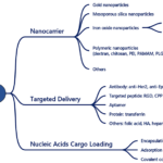 Custom Nucleic Acid Delivery Particle Synthesis Services to Accelerate Gene Therapy and Research