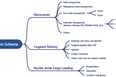 Custom Nucleic Acid Delivery Particle Synthesis Services to Accelerate Gene Therapy and Research